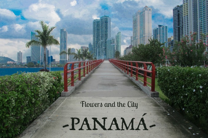 Cinta Costera Panama
