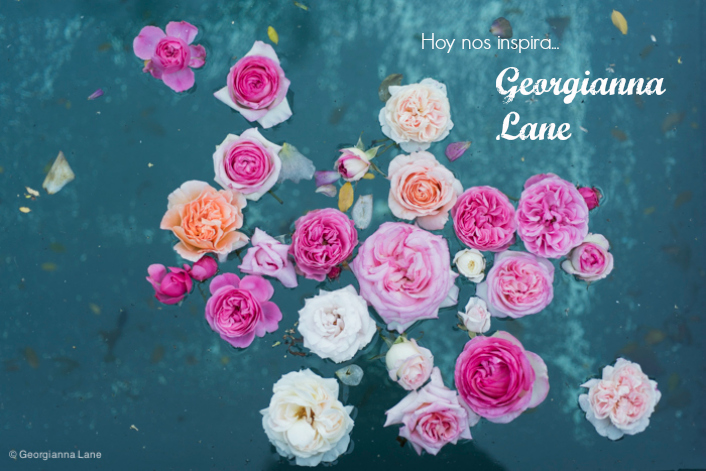 rosas flotantes Georgianna Lane