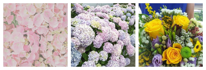 Flores en instagram