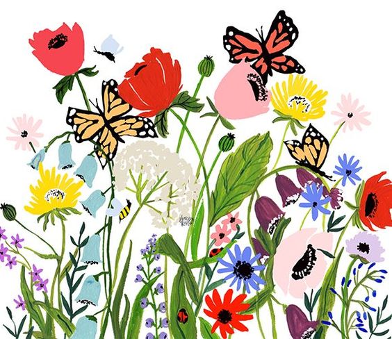 ilustración flores shannon kirsten