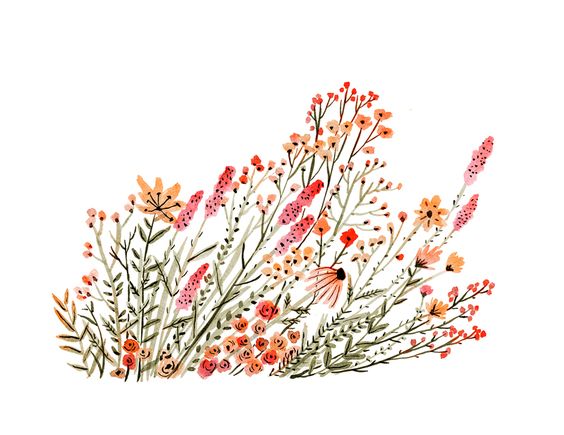 ilustración botánica vikki chu